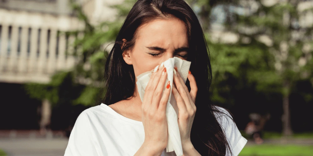 35% Stigning i Bjørkepollen: Hvordan Klimaforandringer Forvandler Danmarks Allergisæson